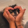 Run4Fun's profile picture