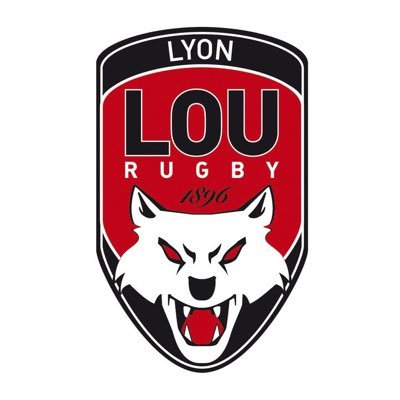 LeLOURugby's profile picture