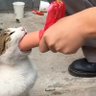 Фото профиля TONG 🐈☕️