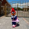 こひやん profil fotoğrafı