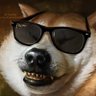 Profilbild von bigzhu