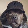 None's profile picture