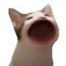 Profilbild von Acountgirl
