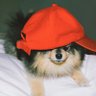jungkookophile profil fotoğrafı