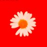 MANA's profile picture