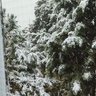 Фото профиля ibrahem