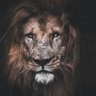 Фото профиля فرخ میاں
