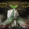Juyaye Haghighat's profile picture