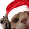 Fabien's profile picture