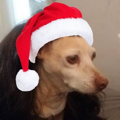 Jingle balls 🍒⚖️'s profile picture