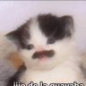 Chuy Lombardo 的头像