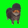 Beans's profile picture