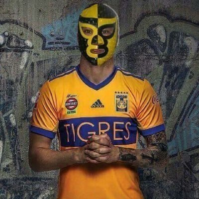 PierroTigre's profile picture