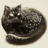 B.L. Purdom, AKA baileygalbreit on b l u e s k y profil fotoğrafı