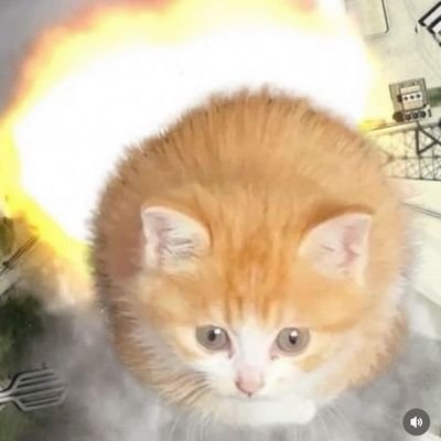 nona's profile picture