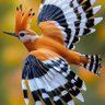 الصندوق الأسود profil fotoğrafı