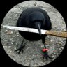 Daroelos profil fotoğrafı