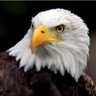 SCOTT🇺🇸UNITED WE STAND🇺🇸KAG🇺🇸MAGA TRUMP 2020's profile picture