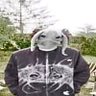 Profilbild von ꩜astr