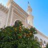 Фото профиля Abu Yusuf