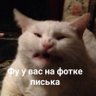 Константин 🏳🌈🇷🇺's profile picture