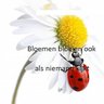 Profilbild von bloemen