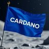 CARDANO NEWS NOW's profile picture