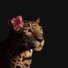 مِيرا بنت فهد's profile picture