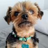 Hotpepper 🌶️🔥's profile picture