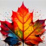 AQC's profile picture