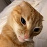 somaR profil fotoğrafı