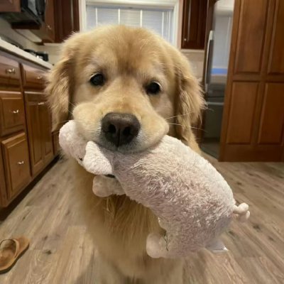 sweet_6433's profile picture
