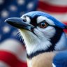 Profilbild von BlueJayGirl 🇺🇸