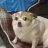 Jerard Becker's profile picture