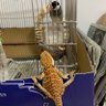 🌻でちゃう!🍌🍌デカ太郎🌻 的头像