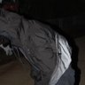 tony's profile picture