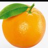 Agent Orange's profile picture