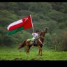 Ali Almoqbali 的头像