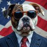 Bluegrasspatriot's profile picture