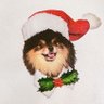 Fizzz🍞 HAPPY's profile picture