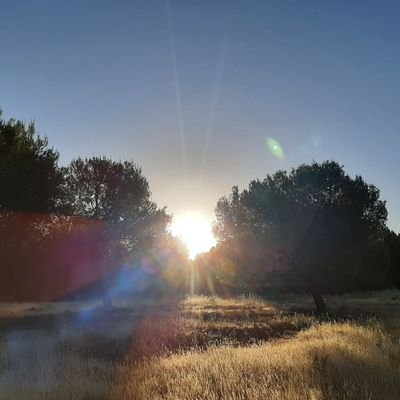 Stellar17Arya's profile picture