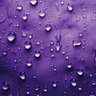 ☔️ Pluie Violette profil fotoğrafı