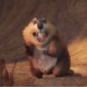 wild's profile picture