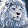 Gokhan mert's profile picture