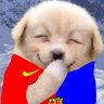 びすかばるさ's profile picture