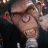 Gurning Chimp profil fotoğrafı