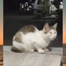 gother's profile picture