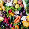 Фото профиля 野菜マリサポ