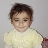 Shehzad's profile picture