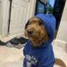 justin's profile picture